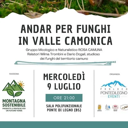 Park Side Ponte Di Legno